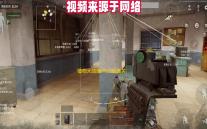 植物大战僵尸95版通关秘籍：阳光管理与战术布局全攻略